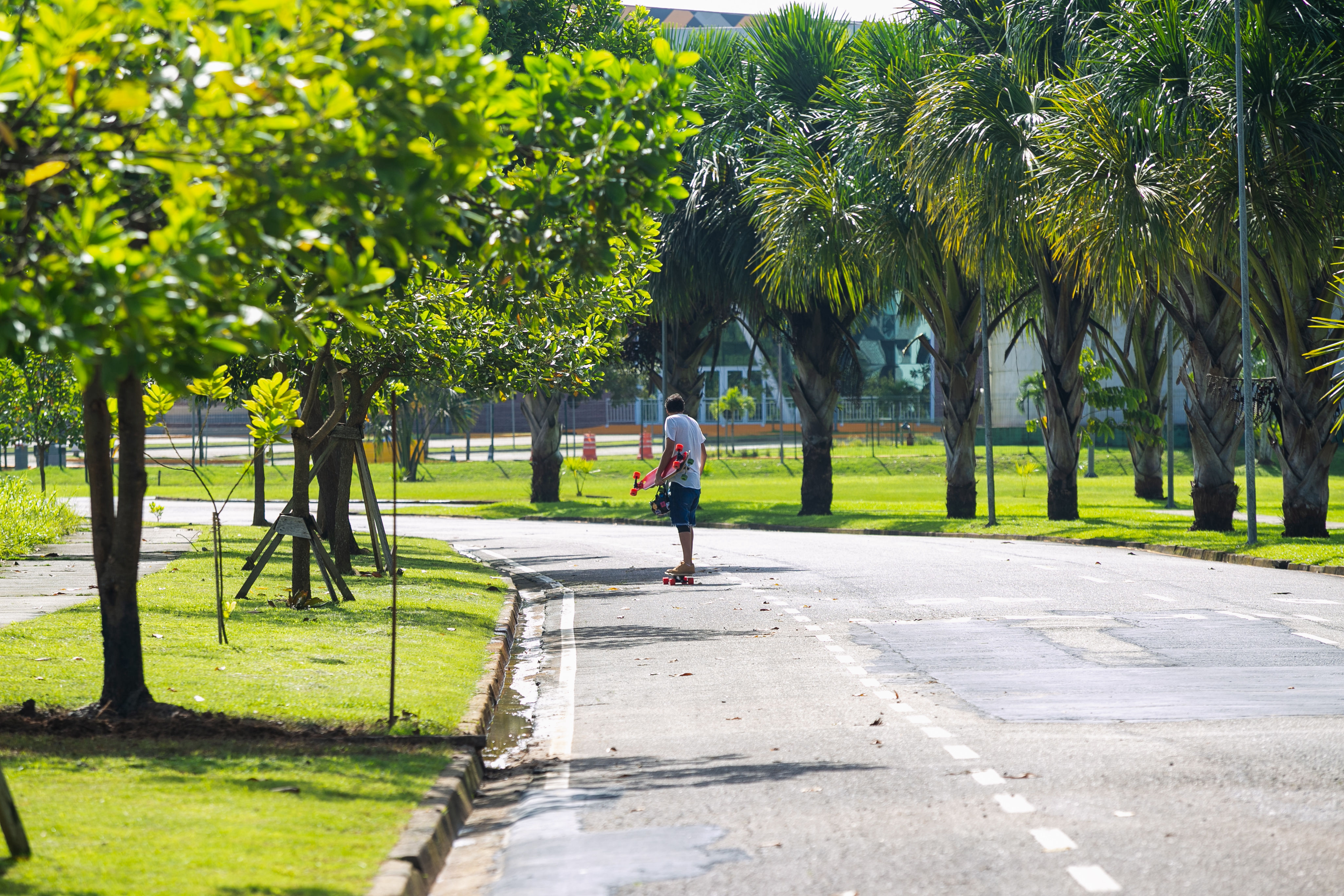 passeio de longboar no cidade cristal breeze residence